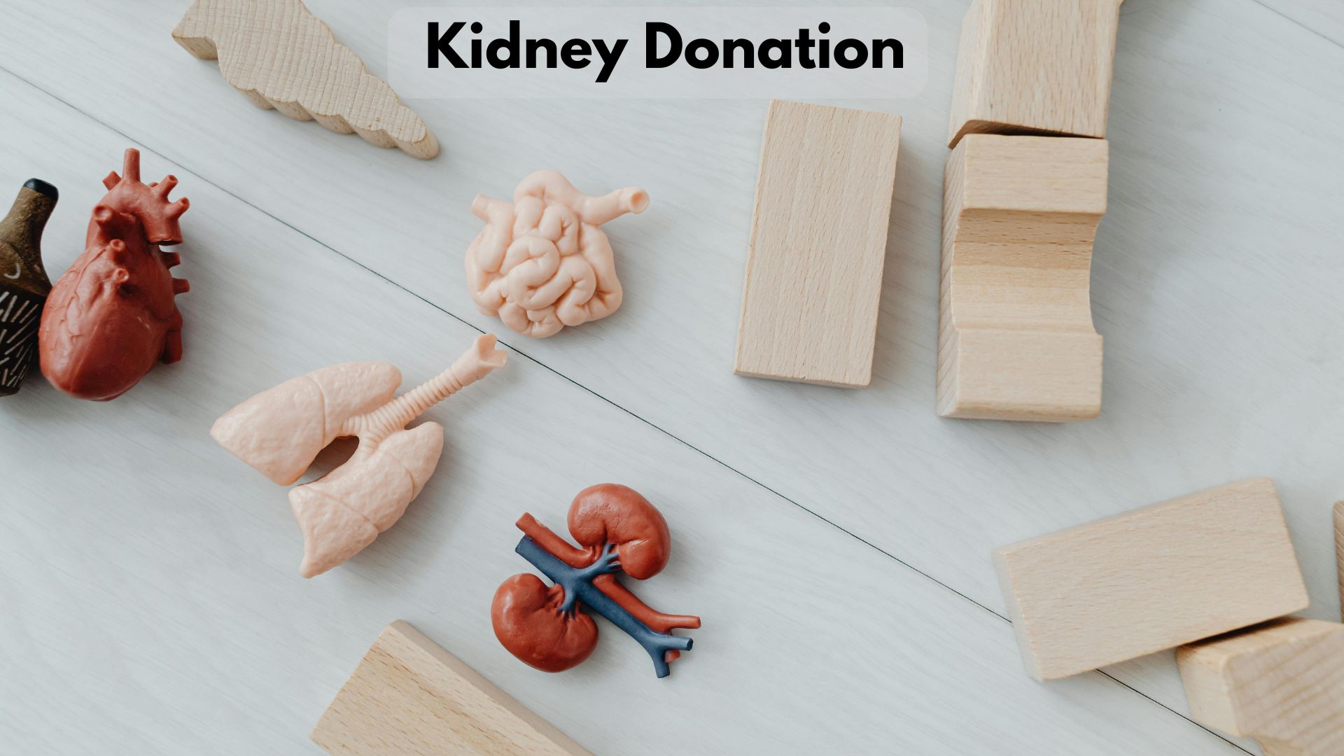 How Much Will a Kidney Donation Cost in 2023?