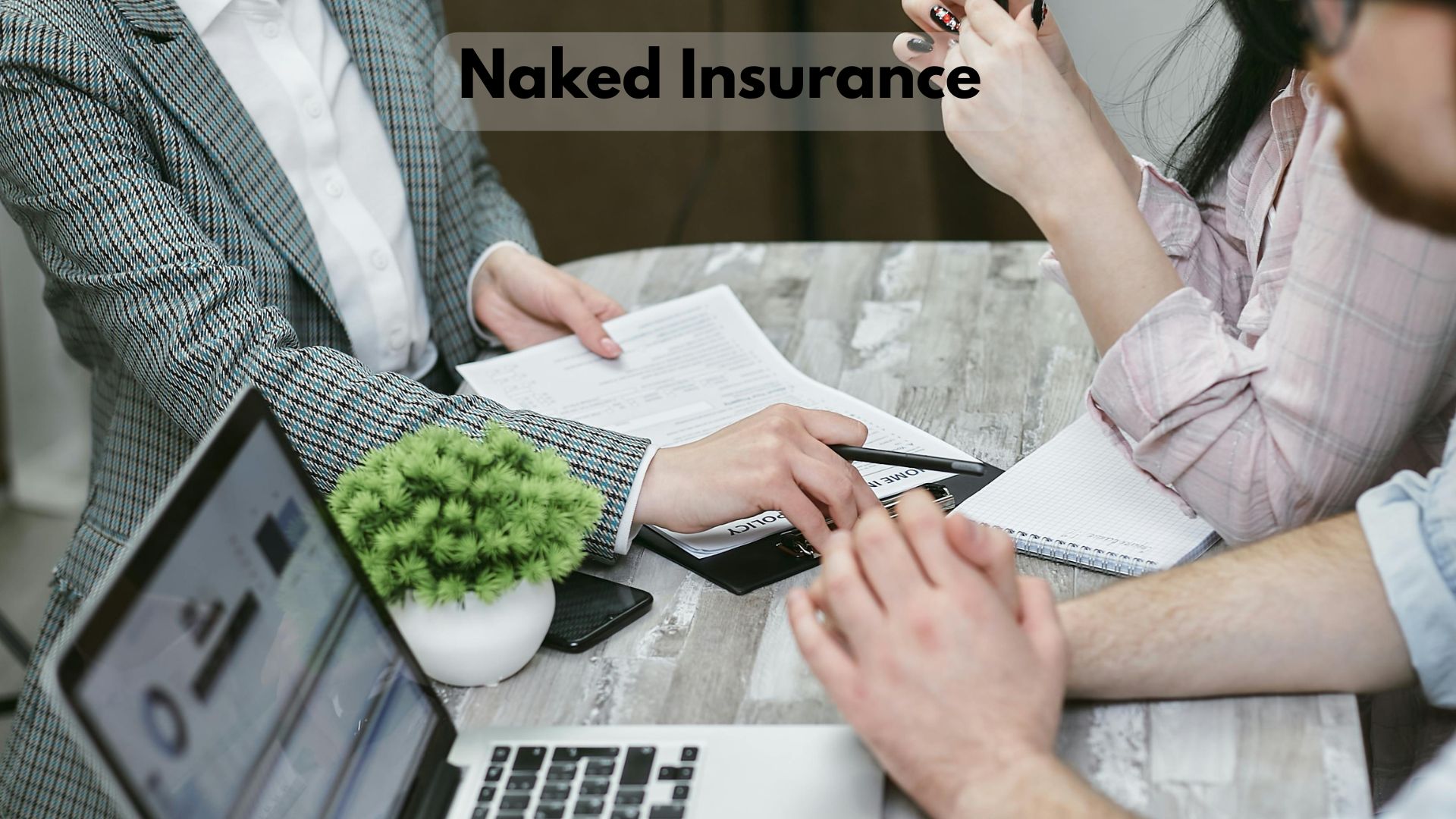 Naked Insurance 2024