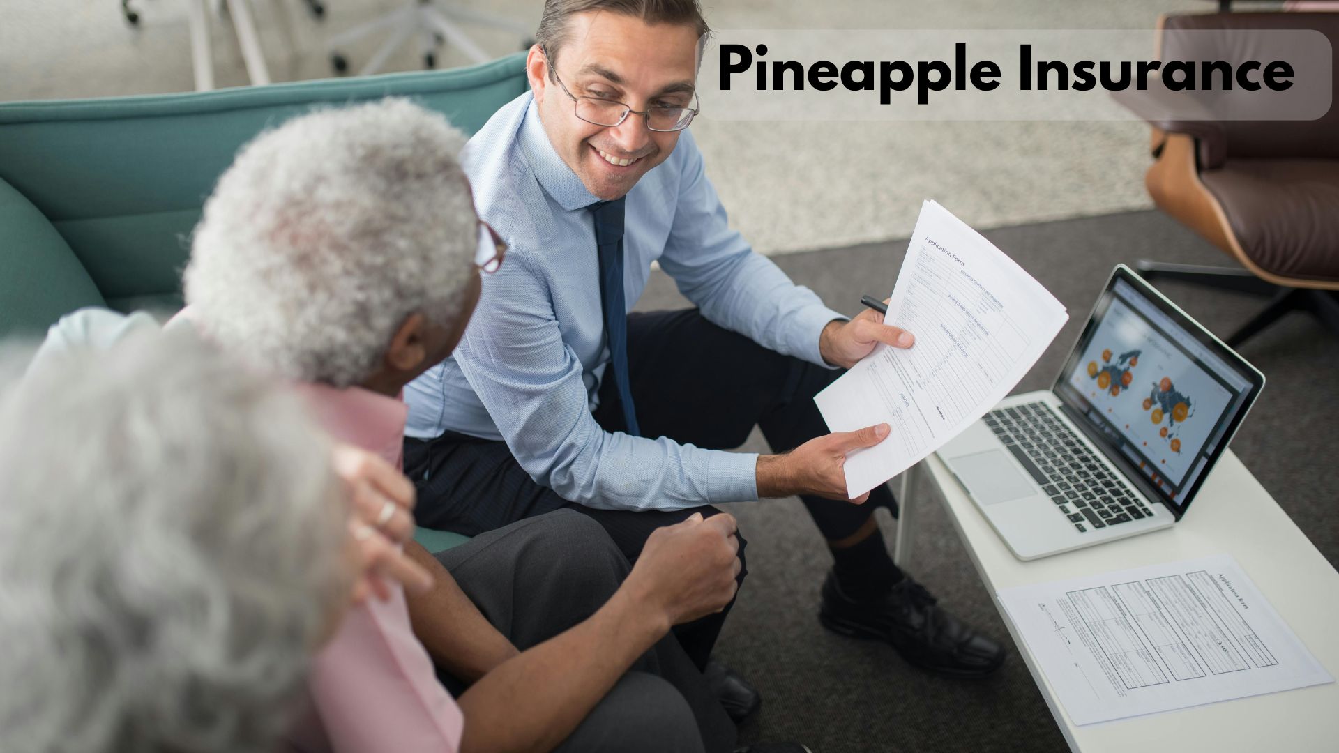 Pineapple Insurance 2024