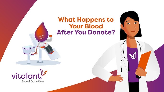 What Happens to Your Blood After Donation? The Full Process Explained