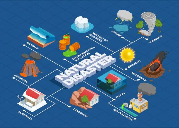 Understanding natural disaster insurance: Are You Covered?